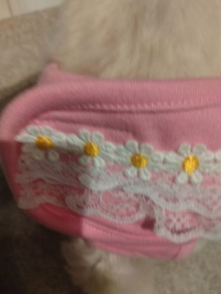 レビュー39-投稿画像2