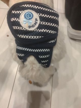 レビュー40-投稿画像1