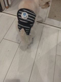 レビュー40-投稿画像2