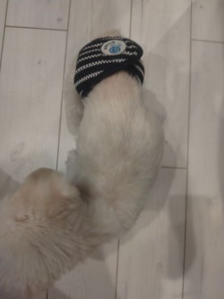 レビュー40-投稿画像3