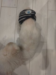 レビュー40-投稿画像3