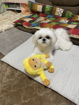 レビュー38-投稿画像1