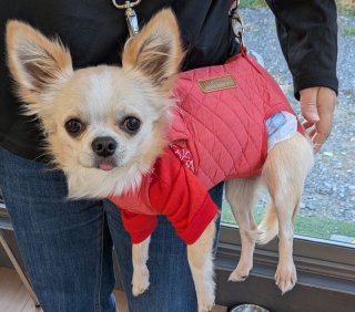 レビュー42-投稿画像1