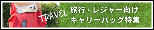春キャリー