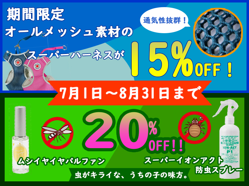 ♪夏のイベント情報♪