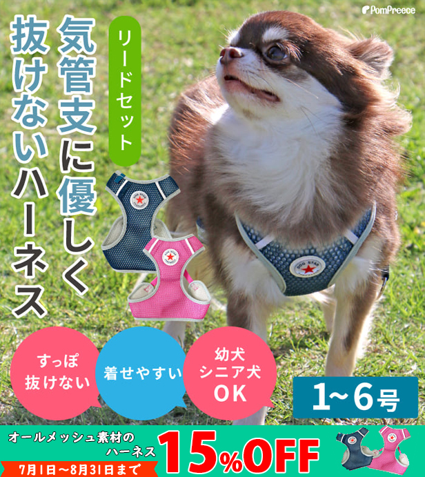オールメッシュ ハーネス 犬用 通気性