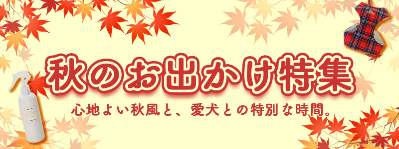 秋のお出かけ特集