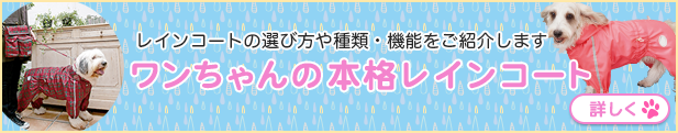ワンちゃんの本格レインコート。レインコートの選び方や種類・機能をご紹介します