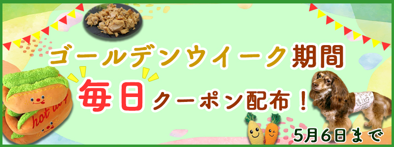 ワクワクデー