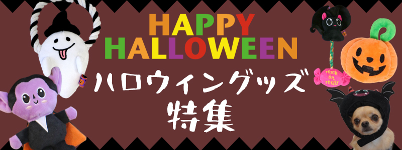 ハロウィングッズ特集