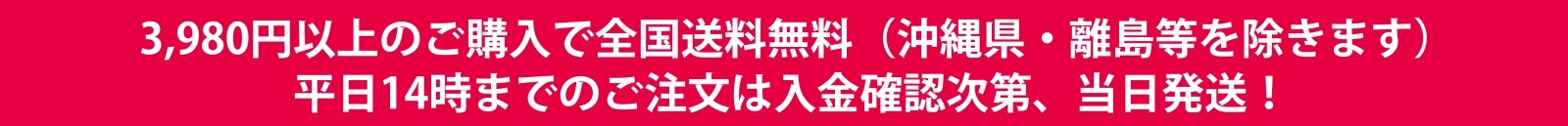 送料無料
