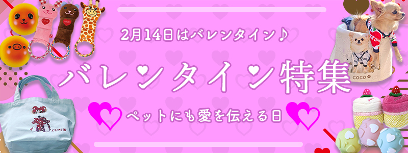 バレンタイン特集