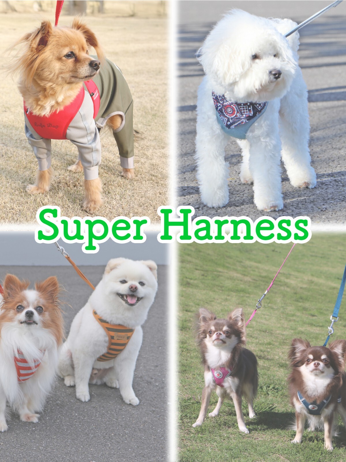 スーパーハーネス