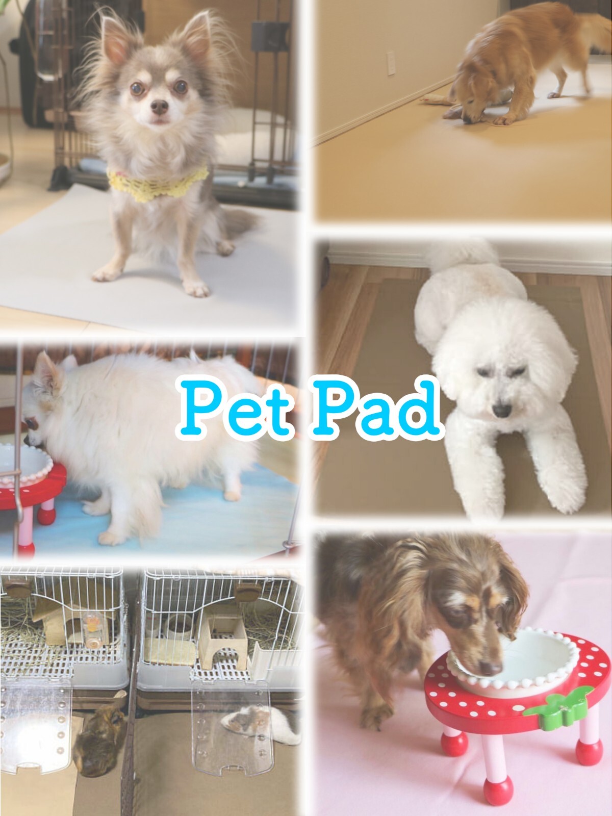 洗って使えるペットシーツ