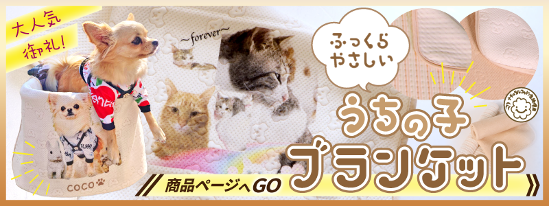 うちの子ブランケット