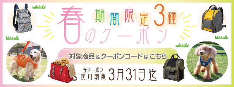 春の限定クーポン発行中！