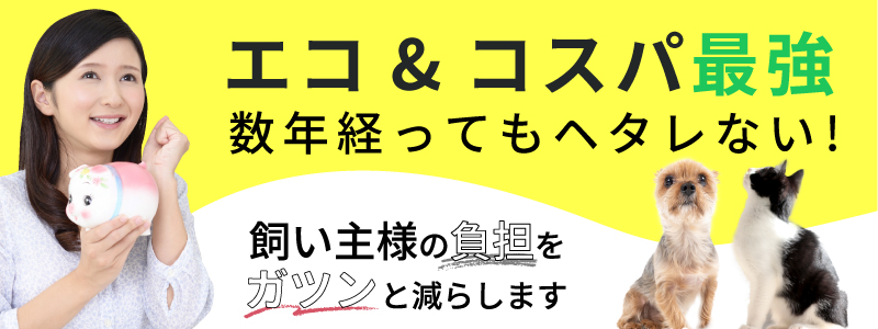 数年たっても使えてコスパ最強