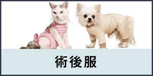 術後