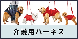 介護