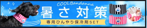 3177クールバンダナ