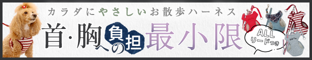 スーパーハーネス