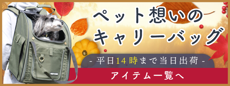 キャリーバッグ特集-