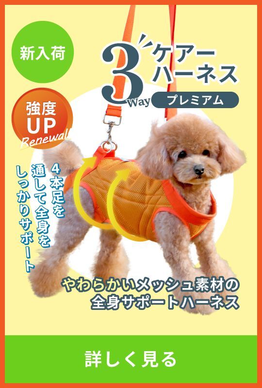 いぬ様 リクエスト 3点 まとめ商品 いぬ様 リクエスト 3点 まとめ商品