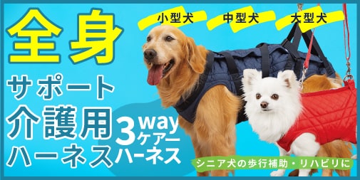 介護用3WAYケアハーネス