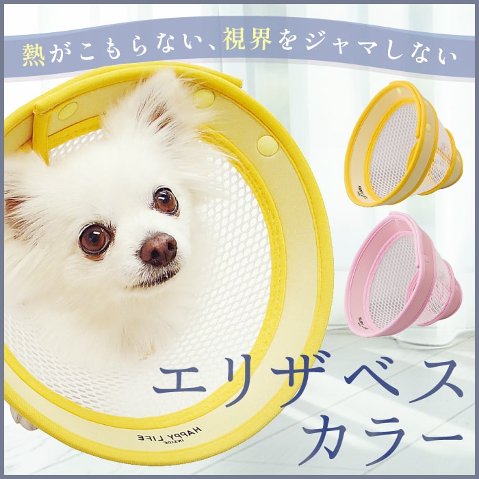 エリザベスカラー