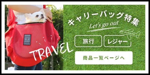 キャリー
