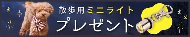 ミニライトプレゼント