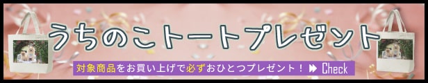 Tシャツプレ