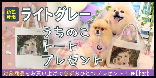 うちのこ