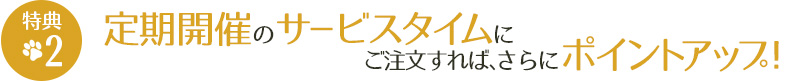 定期開催のサービスタイムにご注文すれば、さらにポイントアップ！
