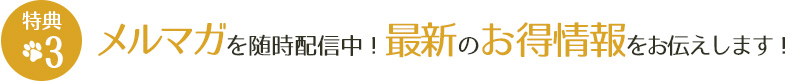メルマガを随時配信中！最新のお得情報をお伝えします！