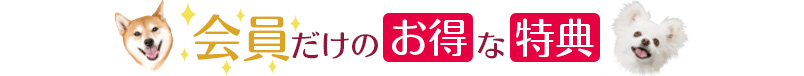 会員だけのお得な特典