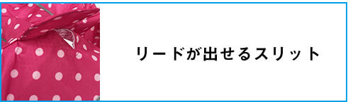 リードが出せるスリット