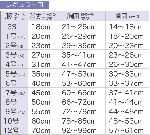 レギュラー用