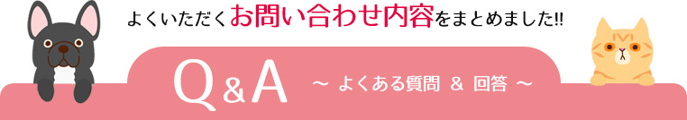 よくいただくお問い合わせ内容をまとめました