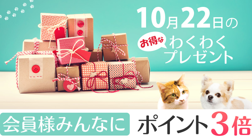 ポイント2倍+わくわく特典