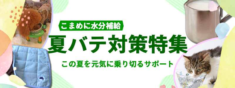 夏バテ対策特集