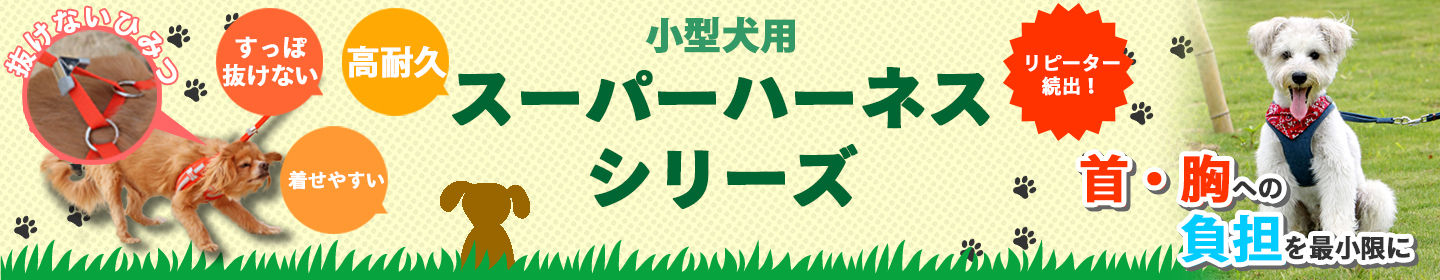スーパーハーネス