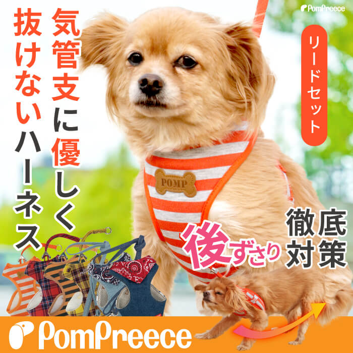 スーパーハーネス