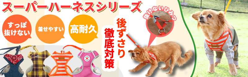 スーパーハーネス