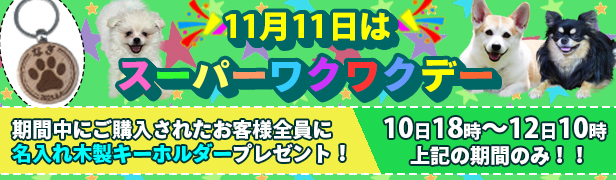 スーパーワクワクデー