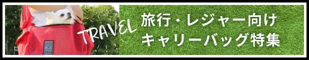 キャリーアイテム