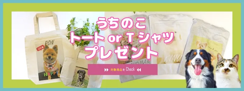 うちのこ