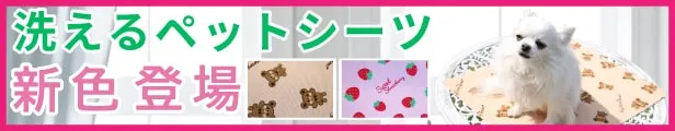 ペットシーツ新色