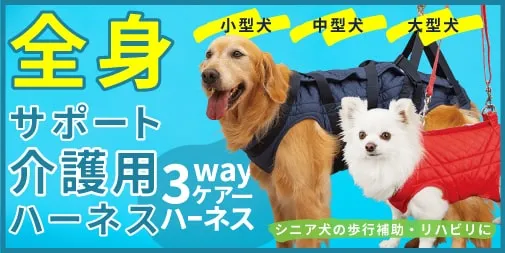 ペット用SOSカプセル(IDカプセル) 犬用、猫用の迷子札代わりに! - た