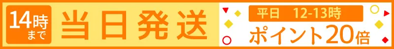 当日発送、お昼休みポイント20倍